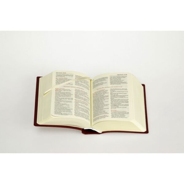 Biblia Tabor PVC – Bordowy